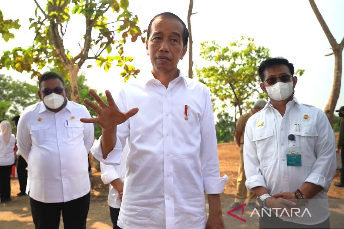 Jokowi targetkan tanam 1 juta kelapa genjah di lahan tak produktif