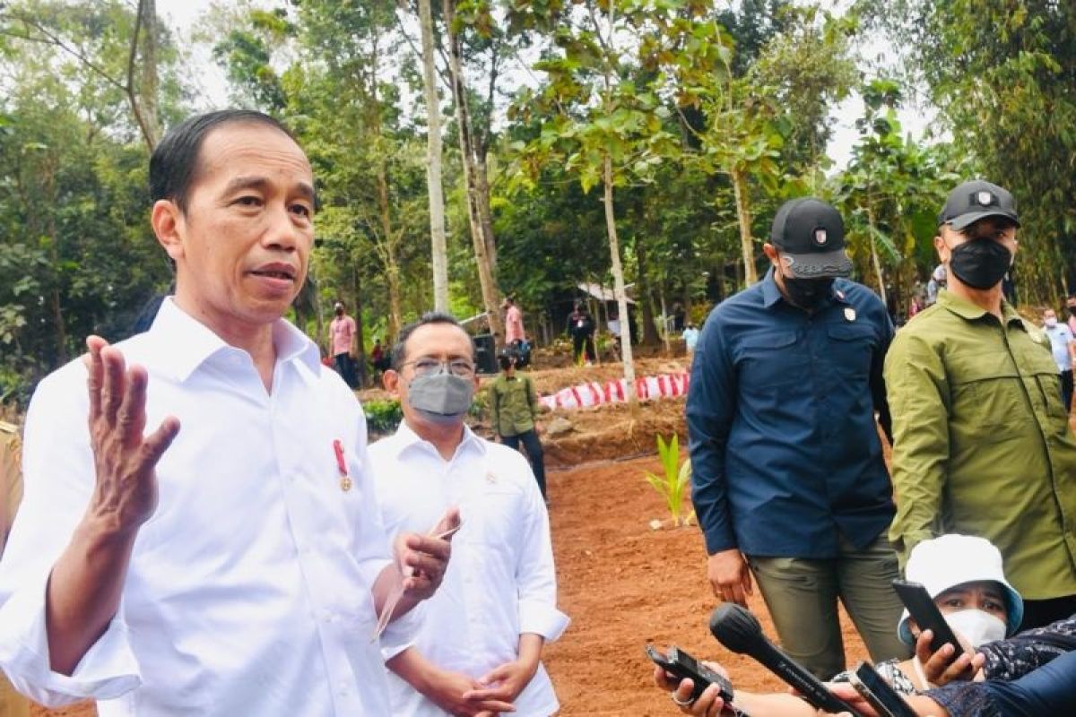 Presiden Jokowi sebut penugasan perwira aktif TNI di K/L belum mendesak