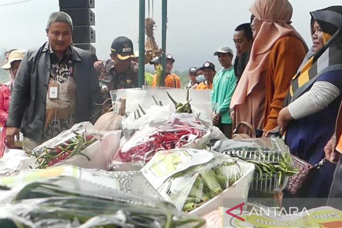 Dirjen Hortikultura sebut krisis pangan peluang Indonesia ambil peran