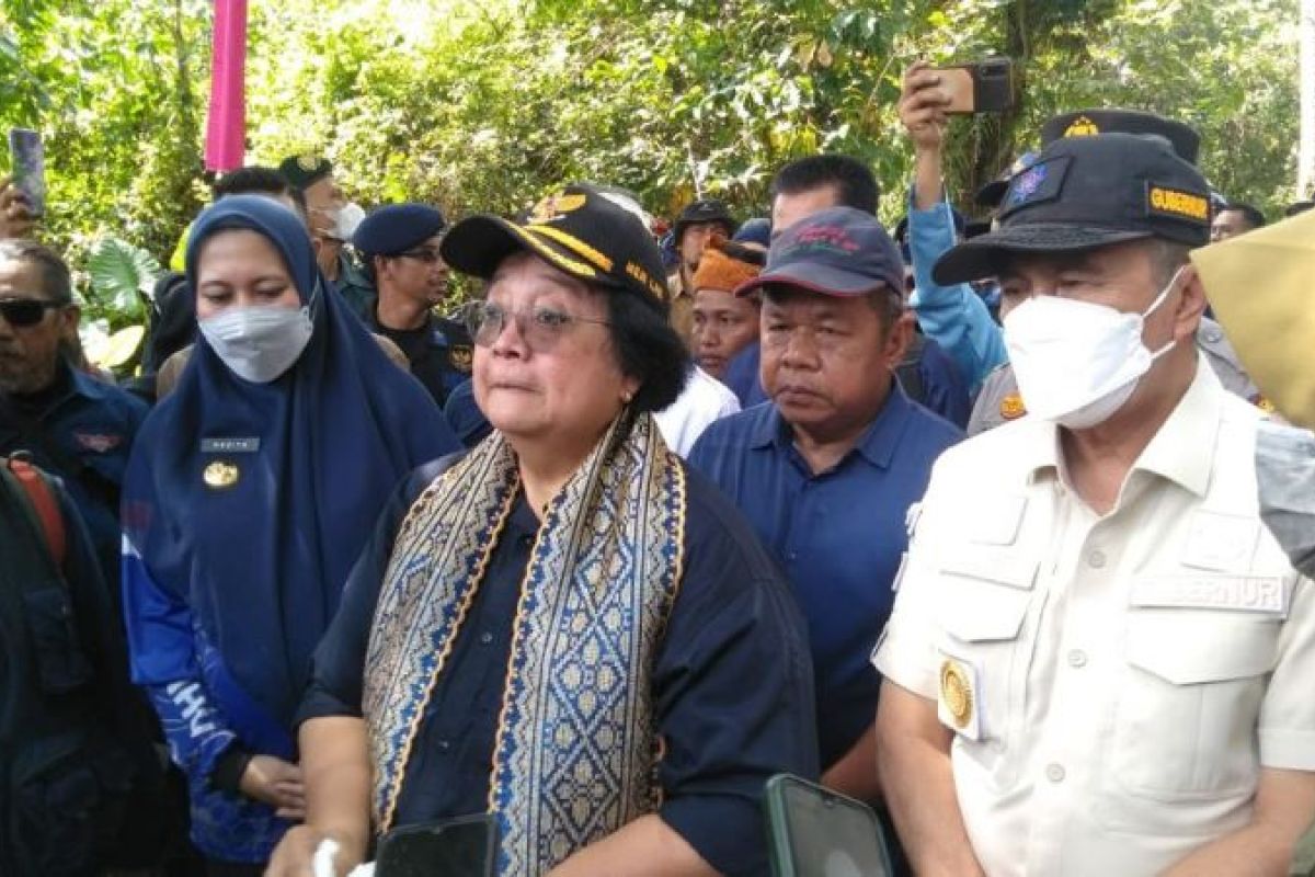 Menteri LHK tanam pohon di tepian Daerah Aliran Sungai Indragiri Hulu