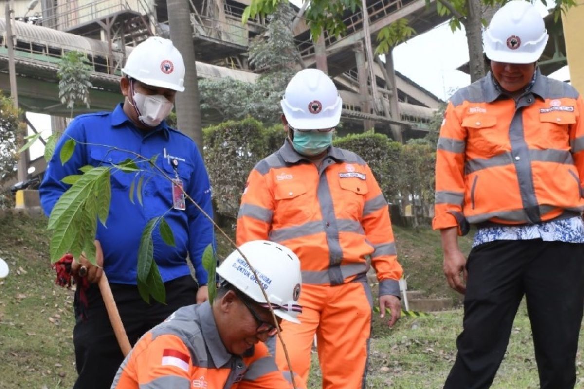 PT Semen Padang kembali hijaukan area pabrik