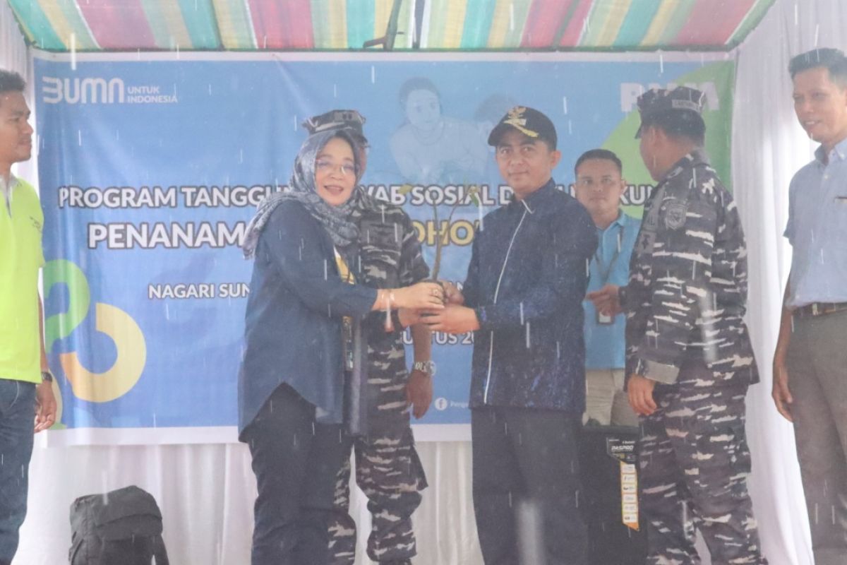 PNM Padang bagikan 5.000 bibit mangrove di Sungai Pinang