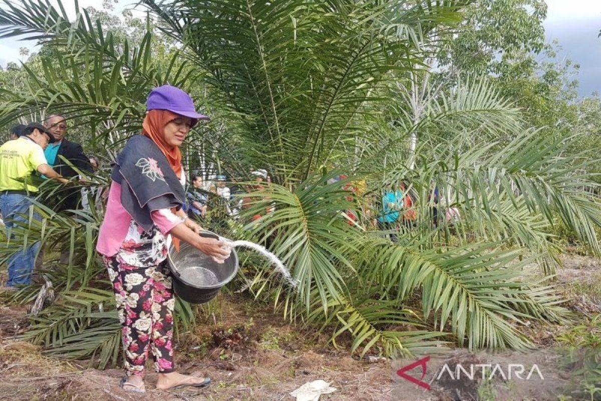 Gapki tegaskan berkomitmen untuk wujudkan industri sawit Indonesia berkelanjutan