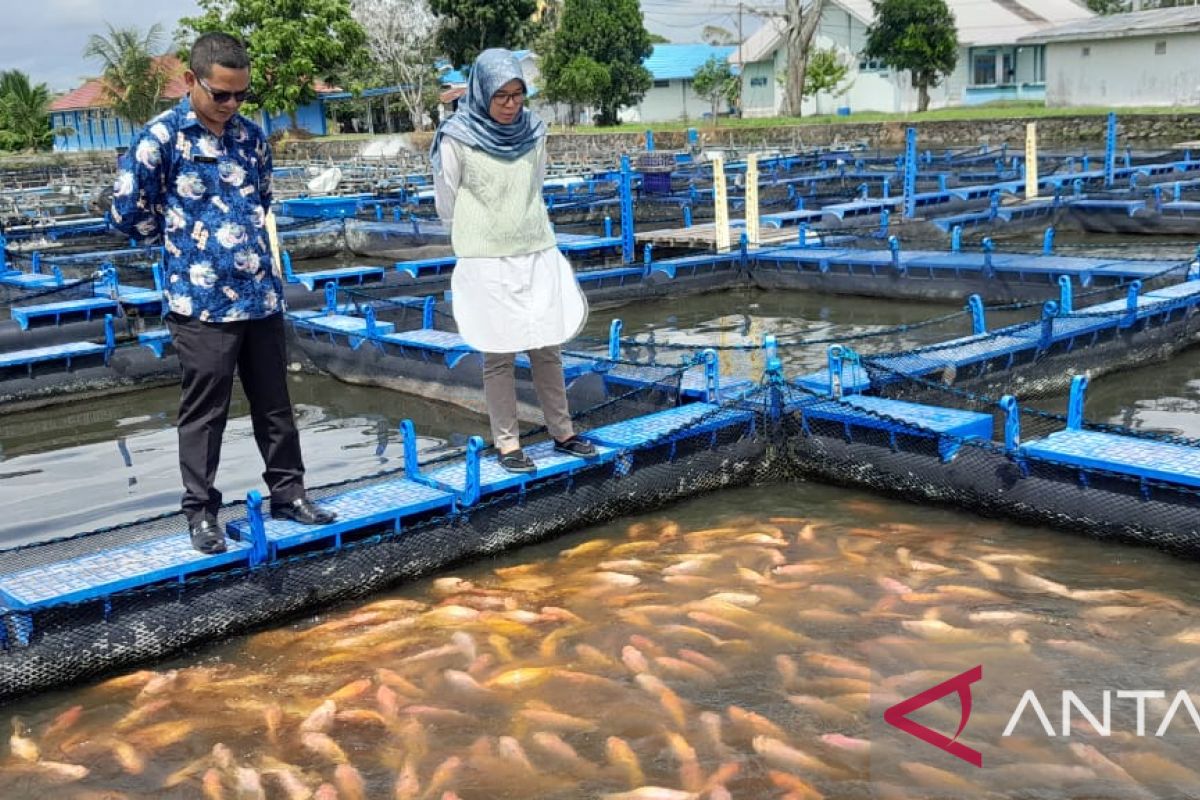 Realisasi produksi ikan di Pasbar hingga akhir 2022 mencapai 77.833 ton