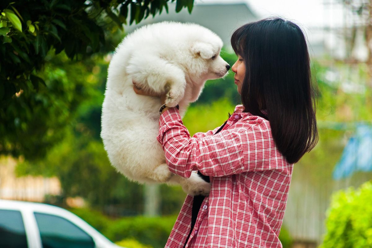 Lebih banyak anjing atau manusia yang menangis saat bertemu?