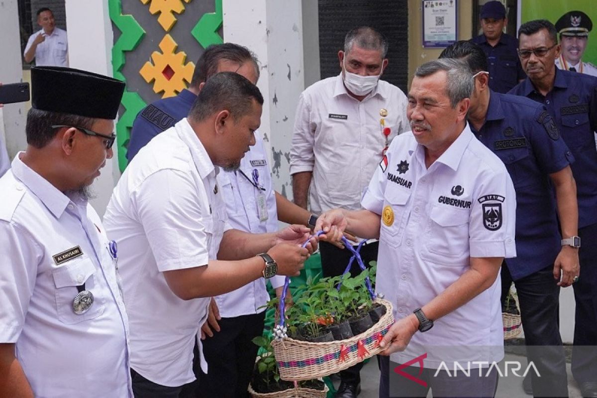 Gubri gencarkan gerakan tanam cabai, ini tujuannya