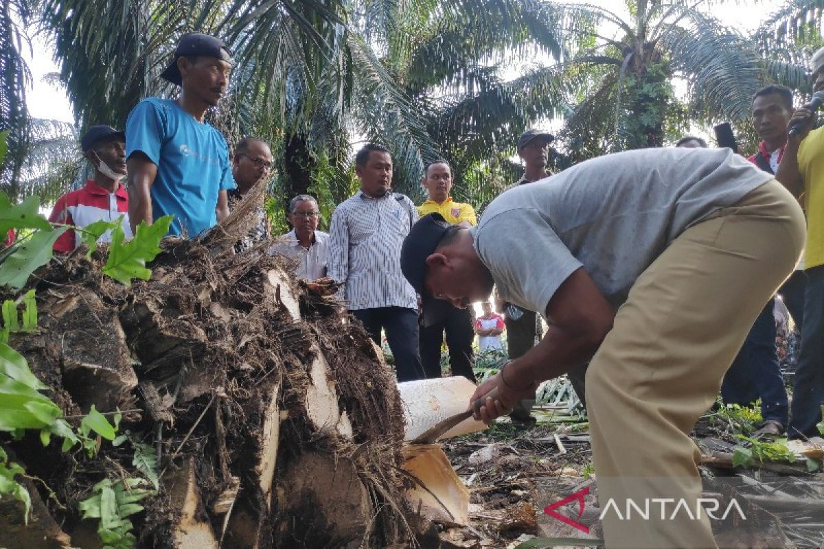 Kotawaringin Barat mulai lakukan pengolahan limbah sawit jadi gula merah