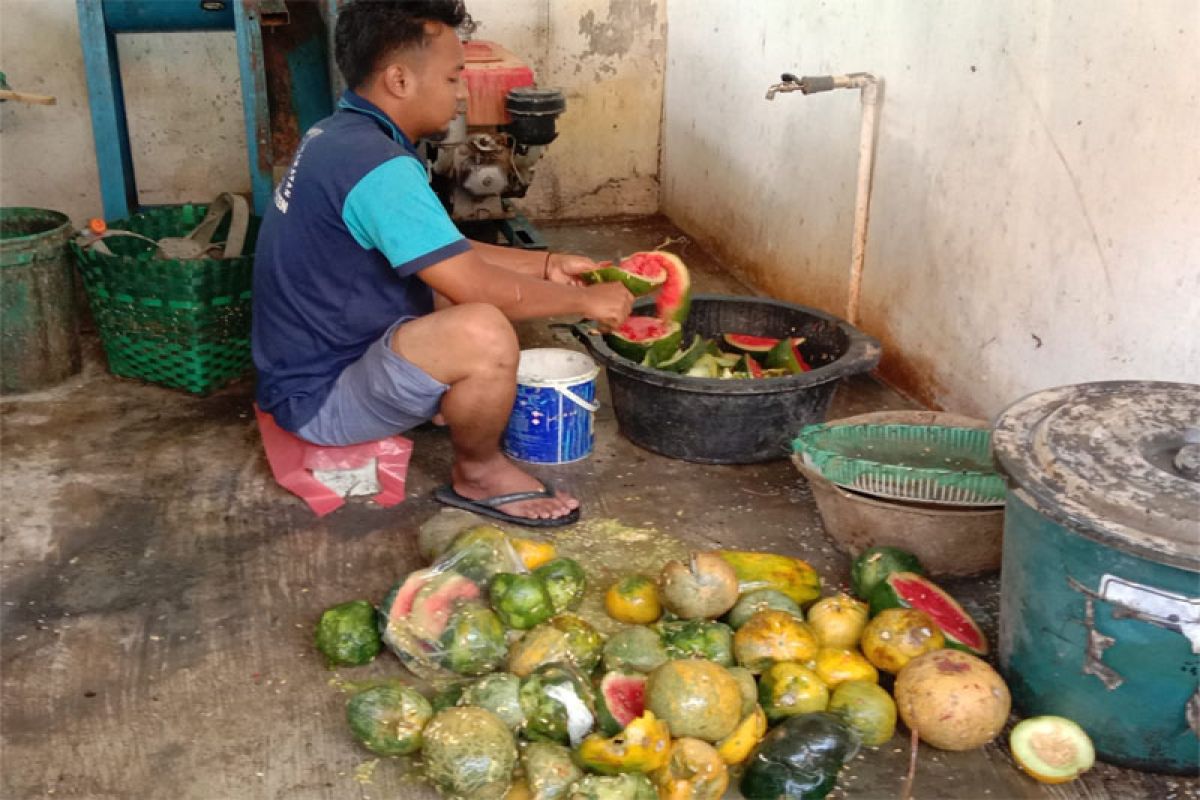 Kemenkumham Jateng dorong Lapas Klaten produksi pakan Ulat Magot