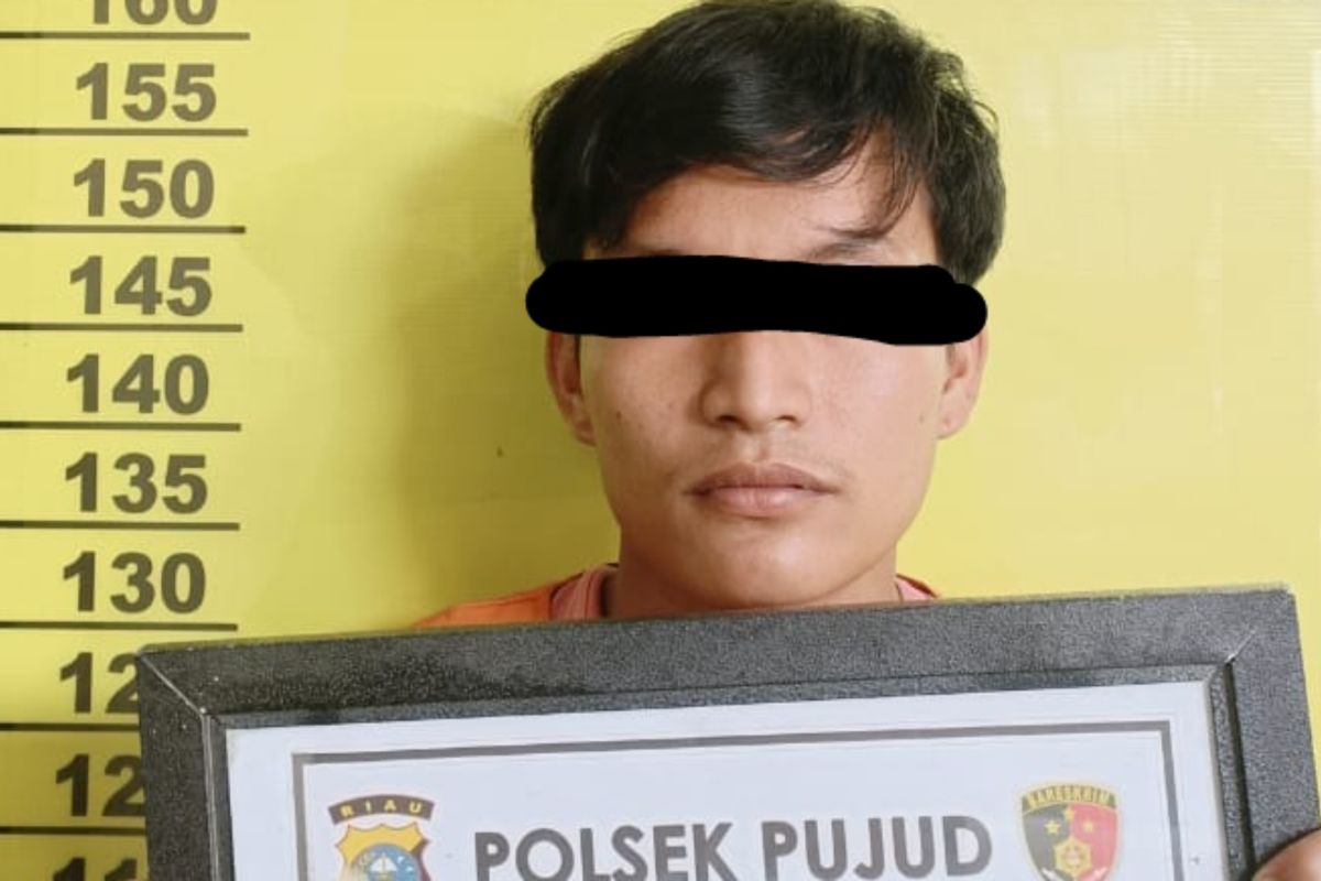 Cabuli anak di bawah umur hingga hamil, pekerja kebun di Rohil dipolisikan