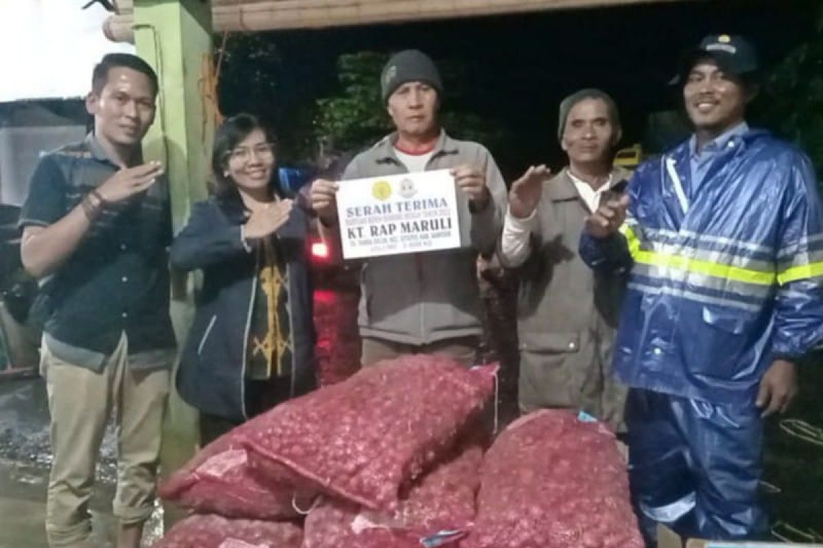 Samosir, Kampung Bawang Merah Nasional