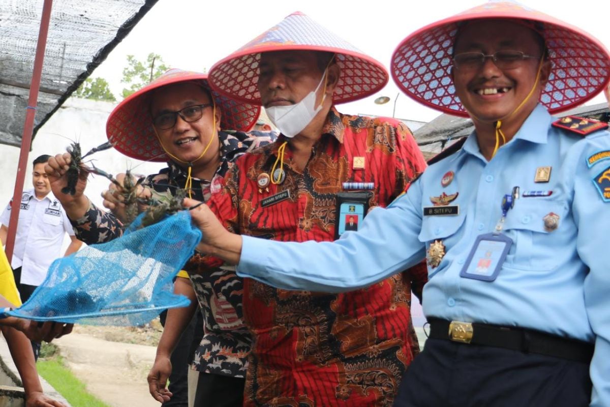 Melihat panen perdana Lobster di Lapas Pasir Pengaraian