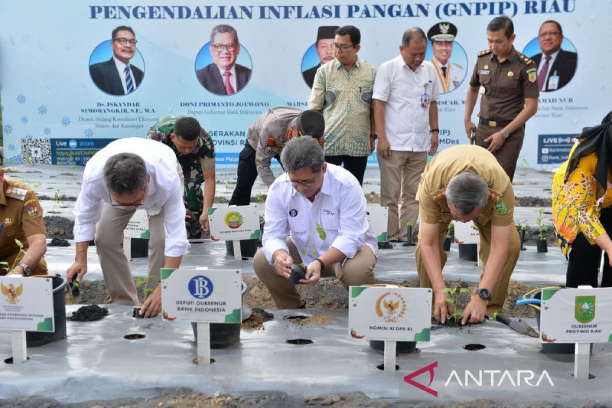 Kendalikan inflasi, BI Riau gandeng Bumdes tingkatkan pasokan pangan