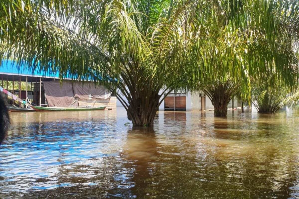 Seorang balita ditemukan tidak bernyawa di selokan saat banjir di Kotim