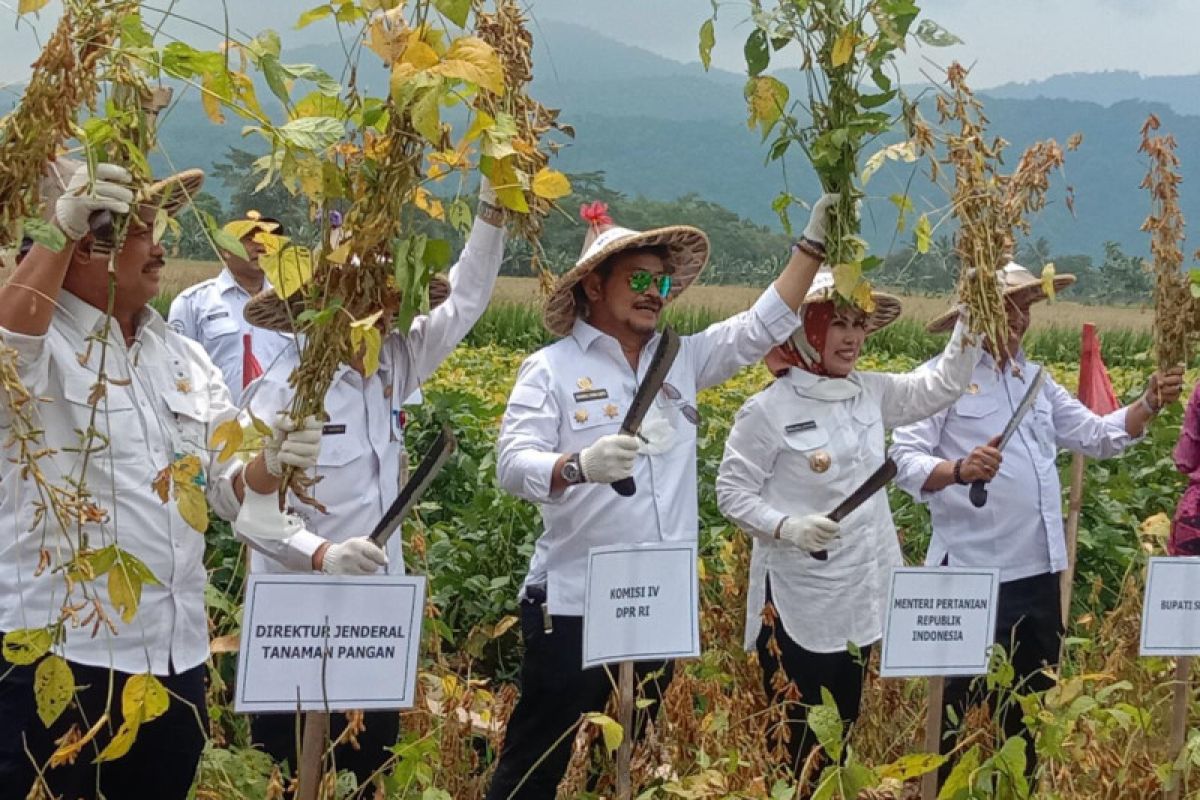 Menteri Limpo optimistis Serang sentra kedelai varietas Migo