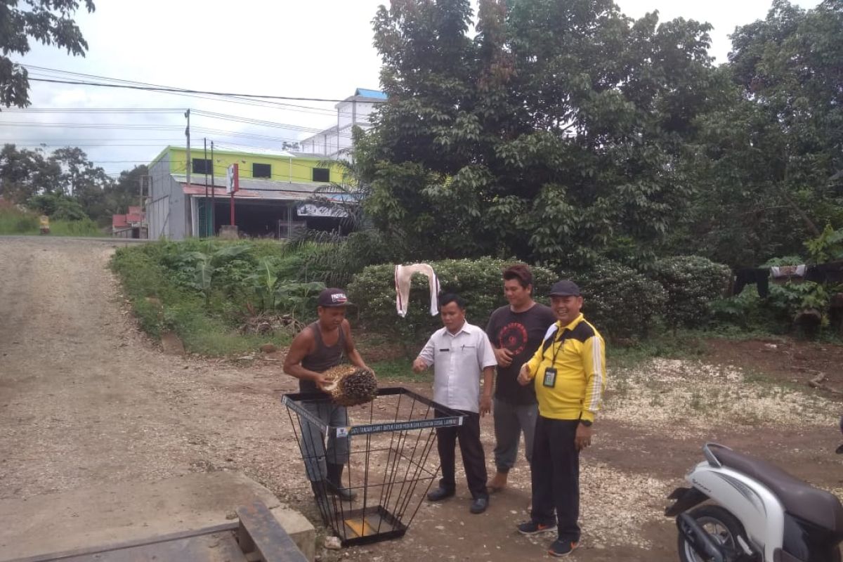 Baznas Dharmasraya gerakan donasi sedekah satu tandan sawit