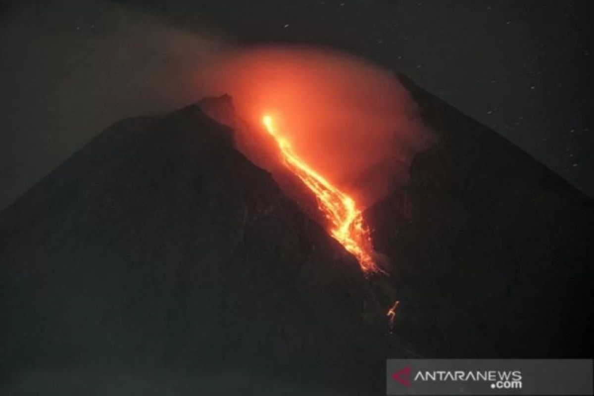 Gunung Merapi luncurkan guguran lava sebanyak 13 kali selama sepekan