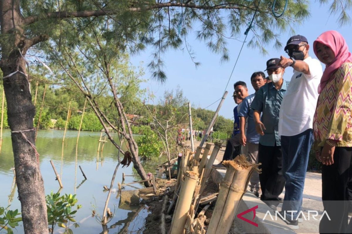 FABA PLN Perkuat Konstruksi Jalan dan Tanggul Penangkal Banjir Rob di Demak Jateng