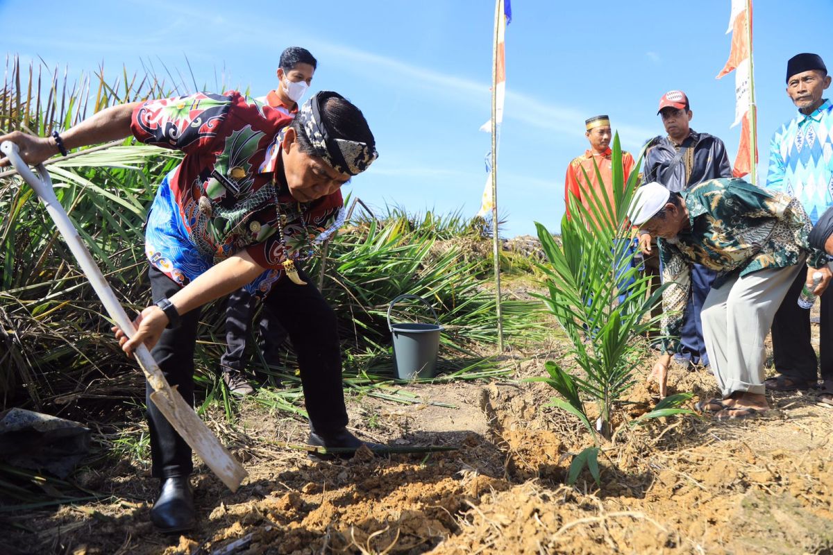 Tanam sawit rakyat dan integrasi jagung, Gubernur harap petani tak andalkan satu komoditas