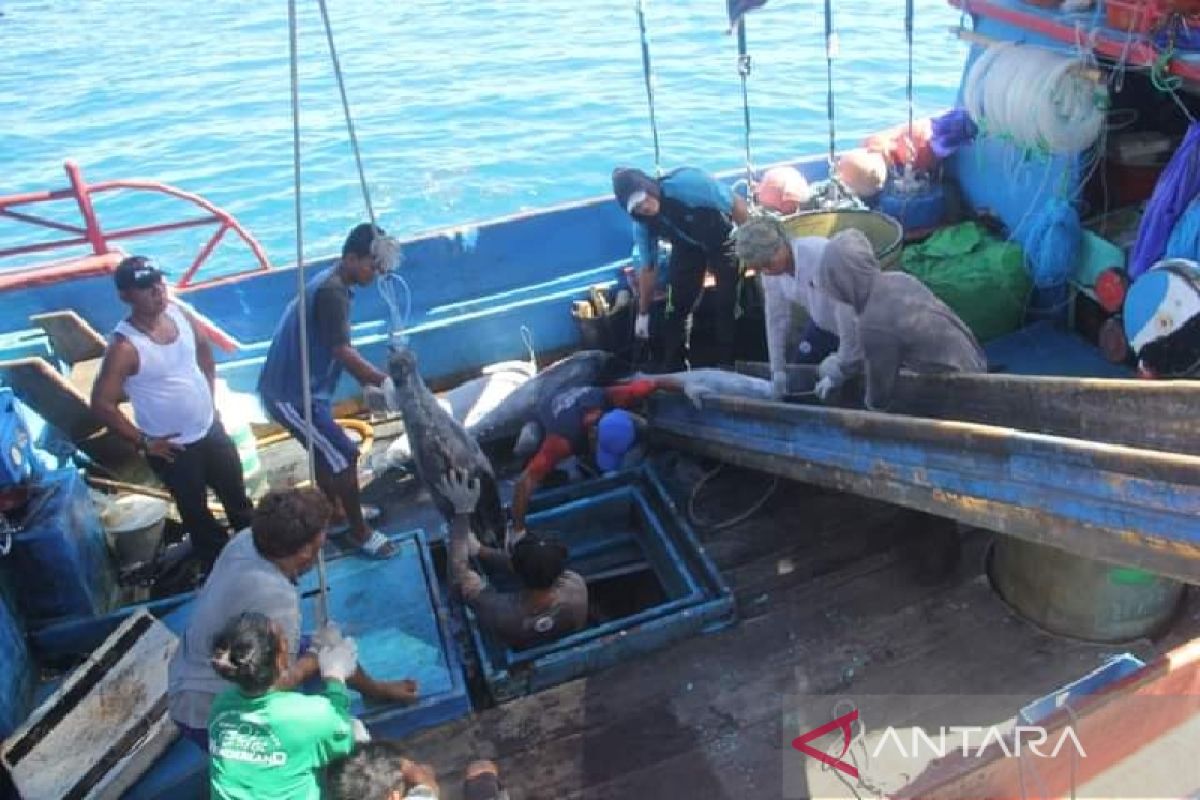 Pembangunan pelabuhan perikanan nusantara Biak masuk buku biru KKP