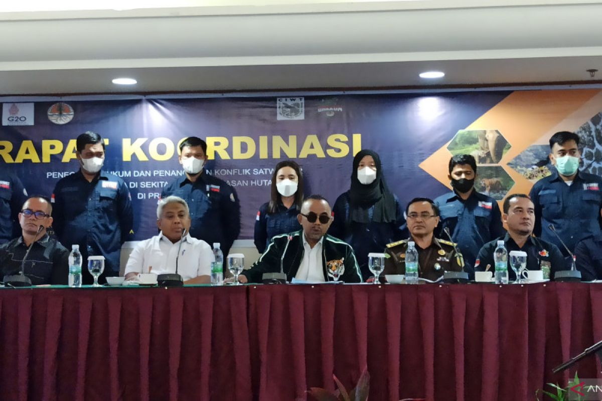 55 kasus konflik satwa dan manusia sepanjang 2022, Gakkum LHK adakan Rakor