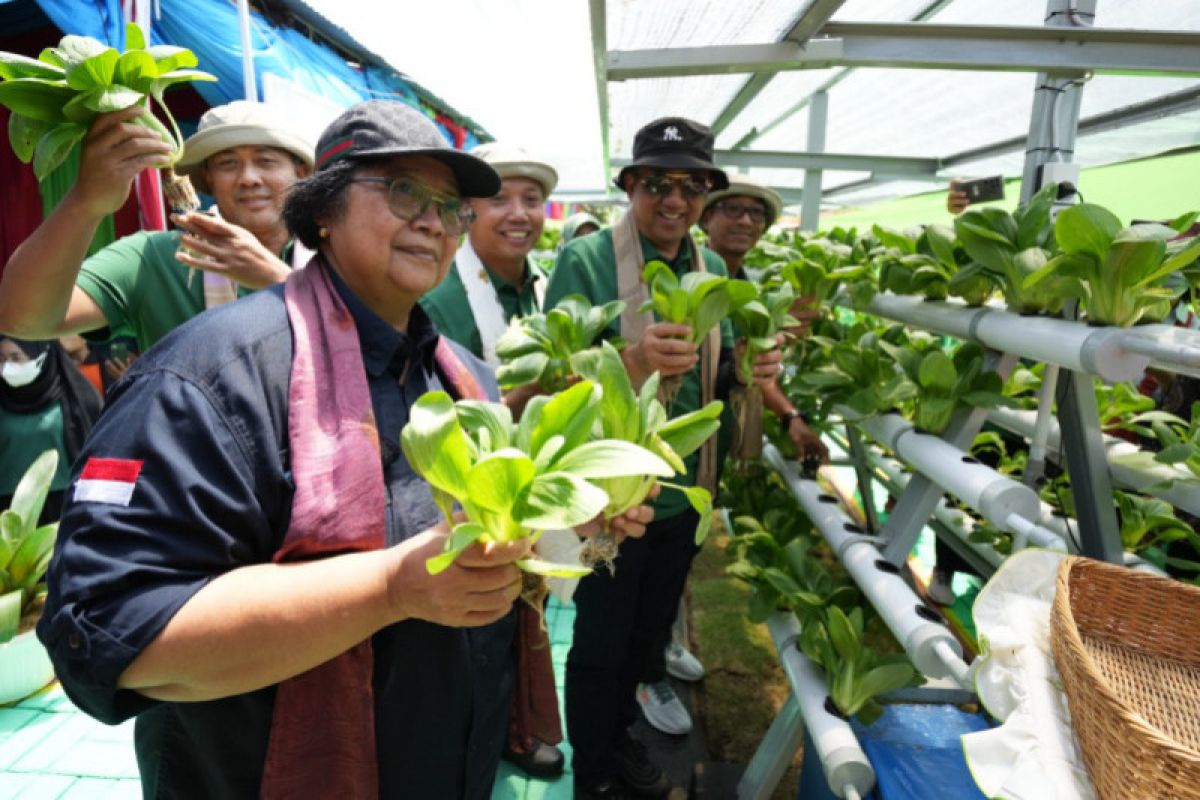 Pertamina Cilacap ciptakan "legacy" keberlanjutan energi di Green House Hidroponik KB "Gadis"