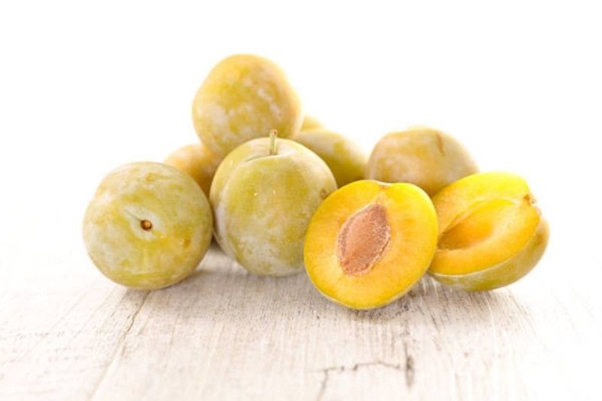 Vitamin C dari kakadu plum bantu atasi kulit kusam