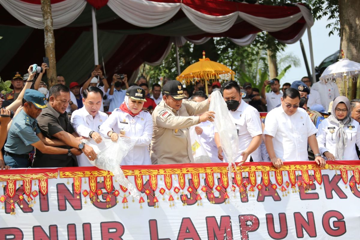 Cegah kepunahan populasi, Lampung tebar 1 juta benih ikan endemik