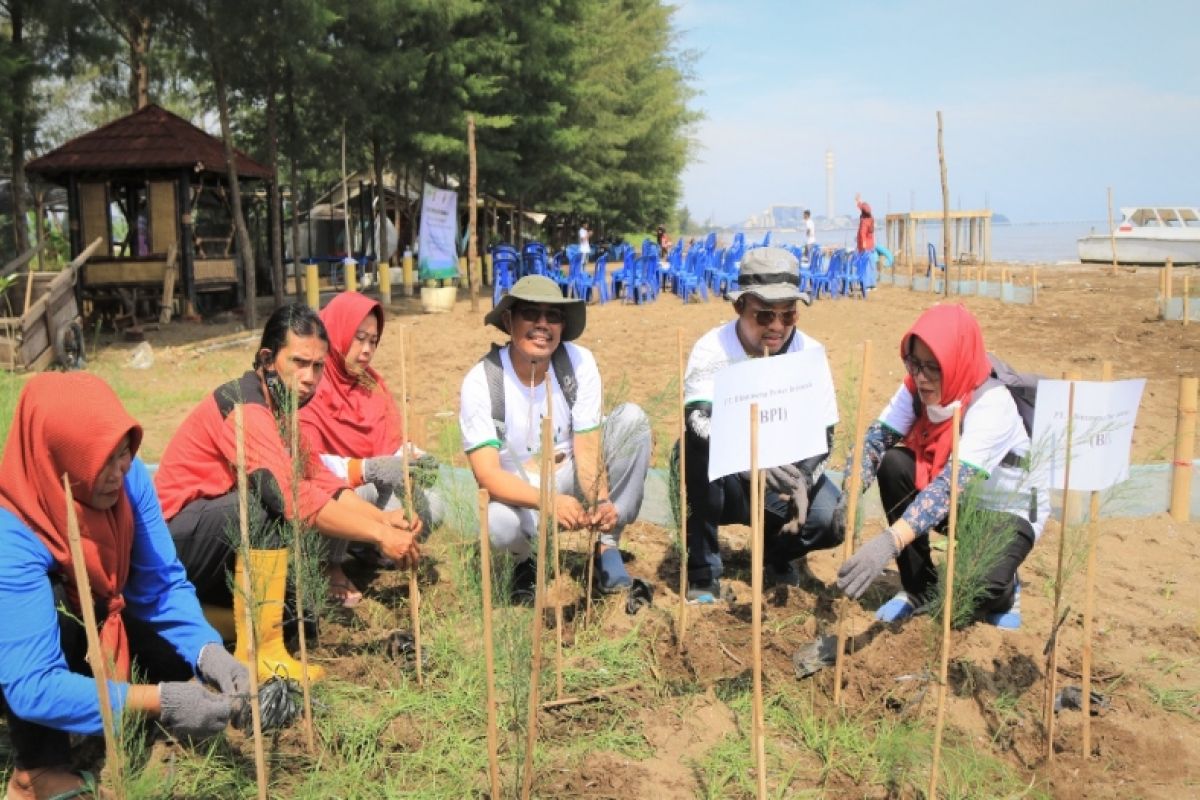 Pemkab Batang dukung gerakan penghijauan vegetasi pantai