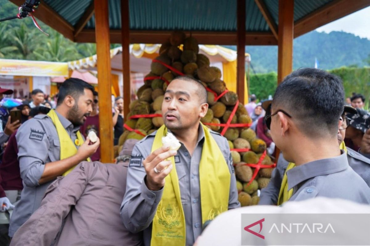 Ma'ambang durian, Sensasi baru di Festival Durian Solok Selatan