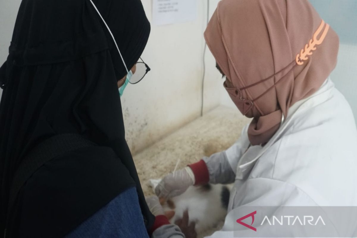 Antisipasi rabies, Pemkot Pekalongan alokasikan 200 dosis vaksin