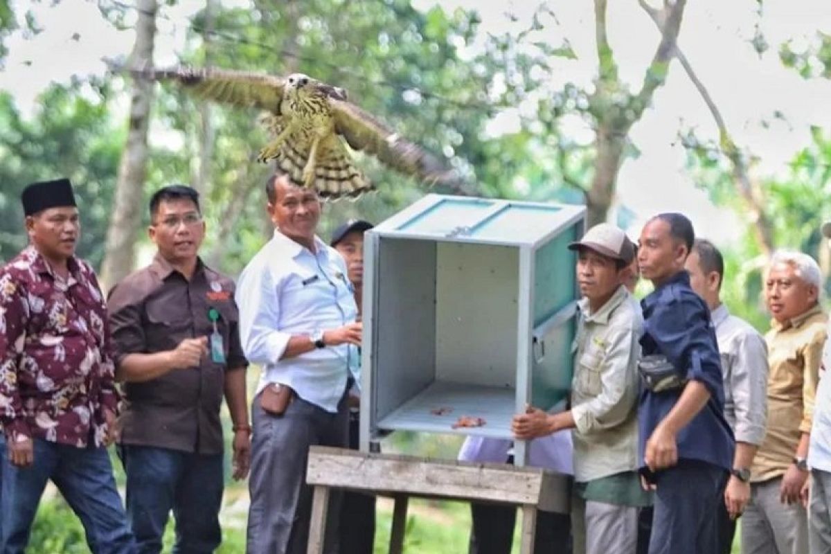 PTPN V dukung penguatan desa wisata Buluh Cina