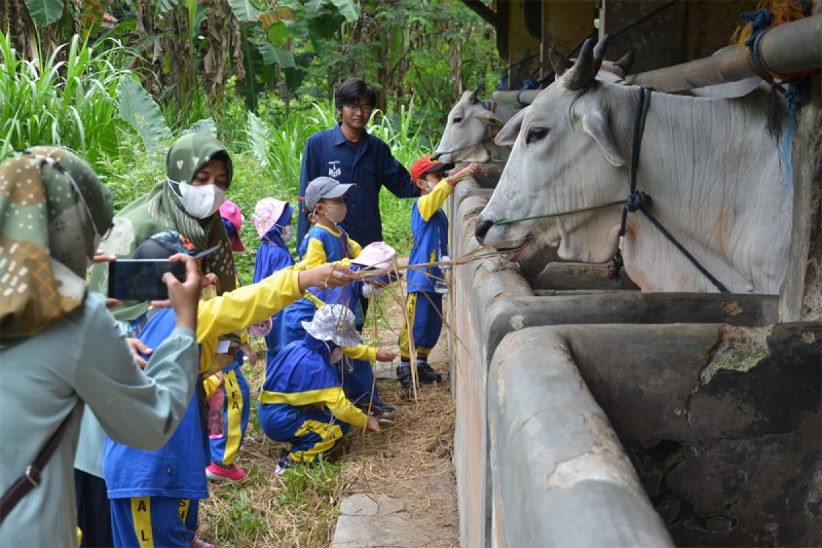 Murid PAUD SRAMBI outing class di Teaching&Exfarm Fapet Unsoed