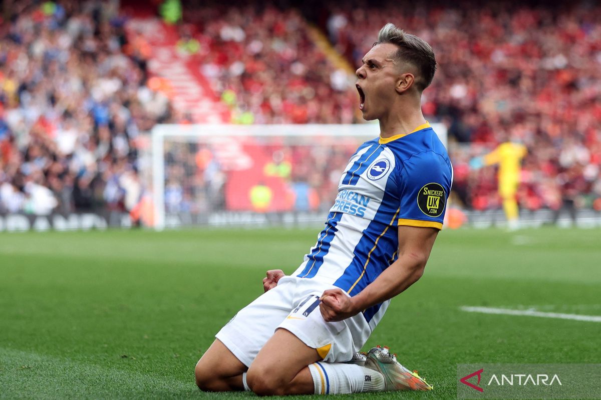 Arsenal inginkan Leandro Trossard dari Brighton