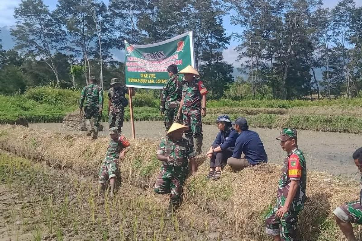 Kodim 1702 Jayawijaya dampingi warga Pisugi pertahankan ketahanan pangan