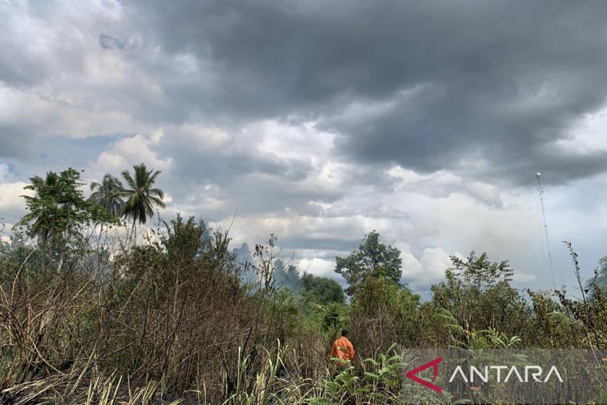 Dua hektare lahan terbakar di Aceh