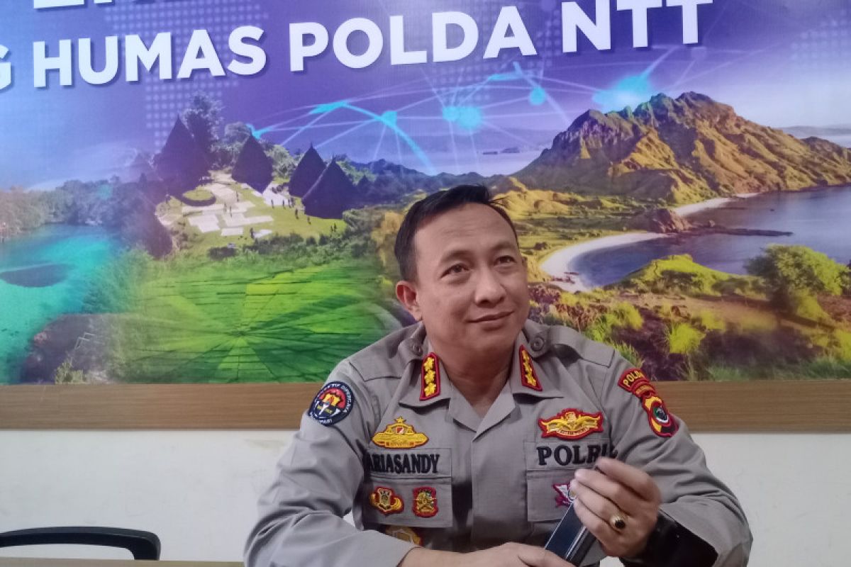 Polda NTT gagalkan pengiriman 40 sapi ilegal