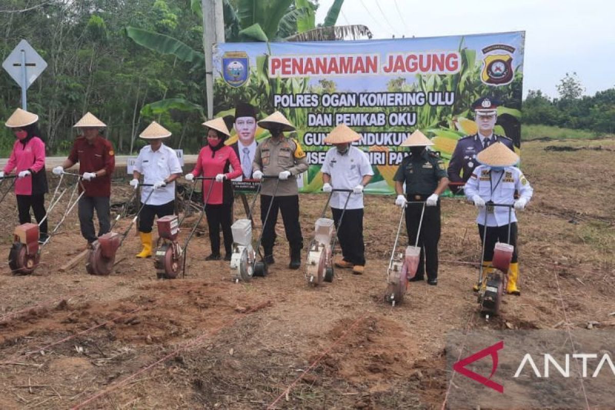 TNI komitmen tanam jagung di OKU Sumsel demi ketahanan pangan