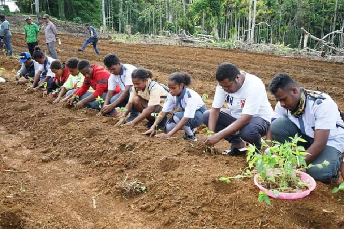 Pemkab Biak mengencarkan ketahanan pangan kendalikan inflasi daerah