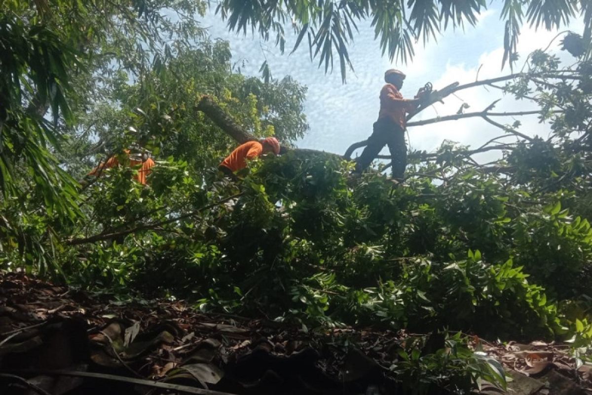 BPBD Grobogan siapkan ratusan relawan antisipasi bencana