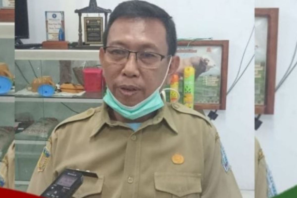 Pemkab Jayapura: Peternak siap suplai daging dan telur acara KMAN