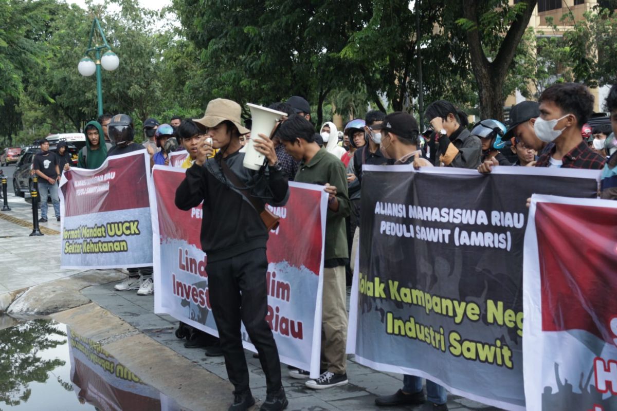 Ratusan mahasiswa ajak masyarakat dukung UU Cipta Kerja sektor kehutanan dan kebun sawit