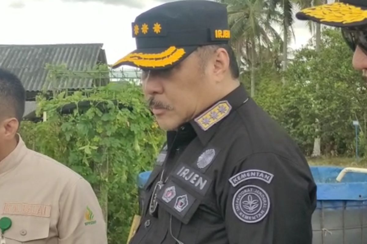 Kementan sebut petani singkong bisa dapatkan subsidi pupuk