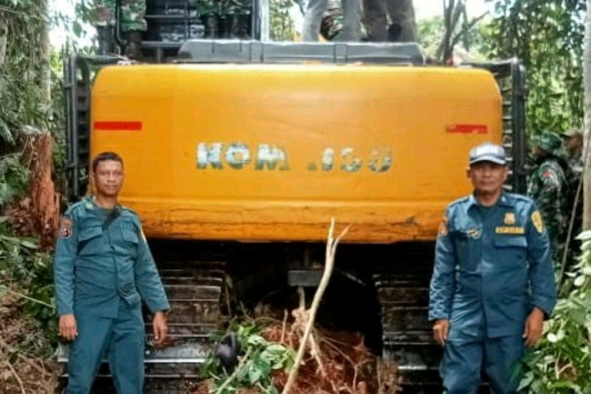 Perambah hutan di Suaka Margasatwa Giam Siak Kecil ditangkap