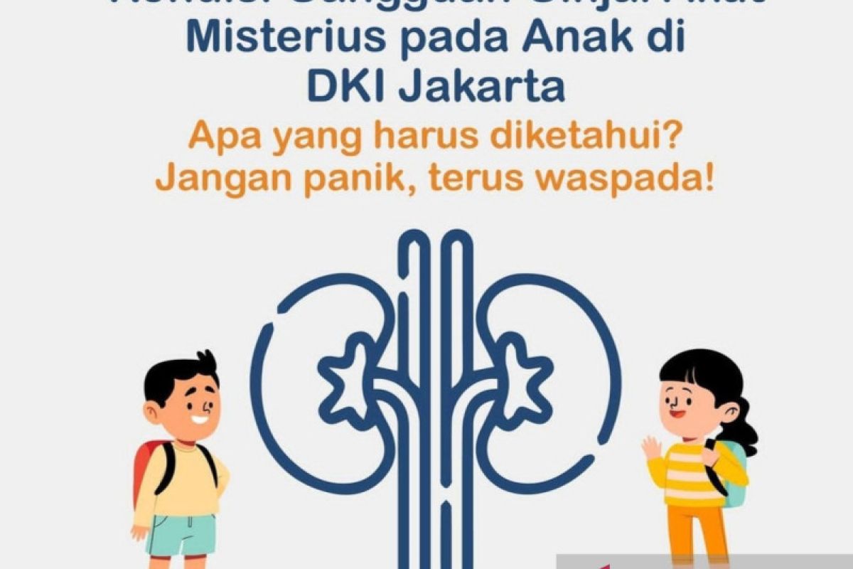 Enam anak di Sumut meninggal karena ginjal akut misterius