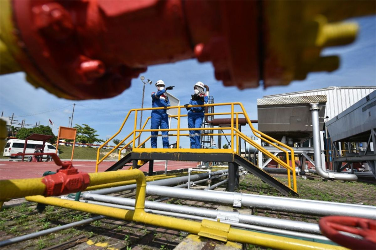 Subholding Gas Pertamina salurkan gas bumi ke WK Rokan