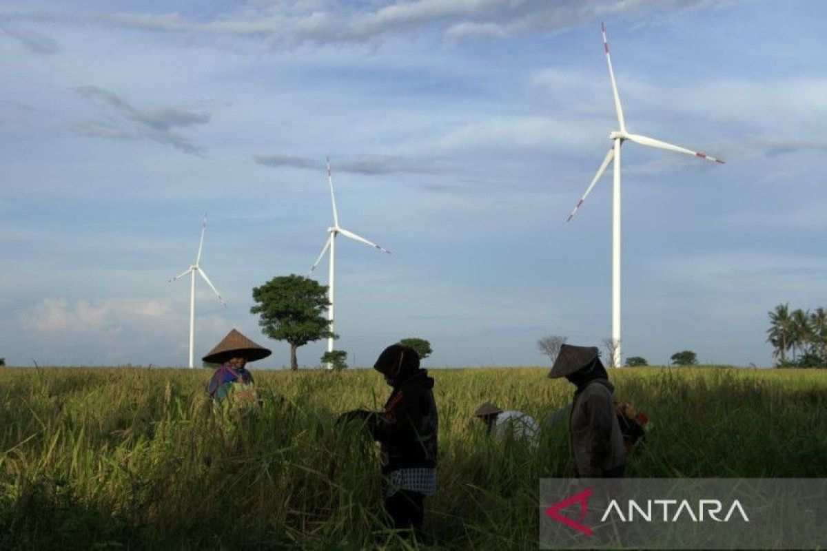 Pewarta Antara Arnas Padda juara I lomba foto bertajuk pembangunan berkelanjutan