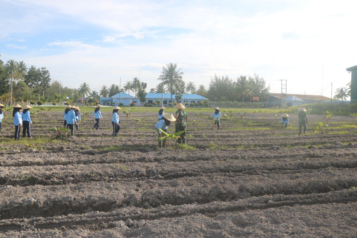 Lanud RSA Natuna buka kebun pisang untuk ketahanan pangan