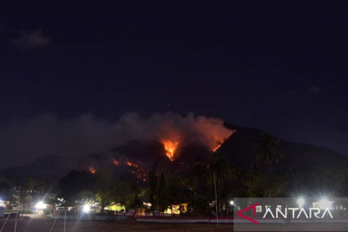 BMKG imbau waspadai potensi karhutla pada tiga pulau di NTT