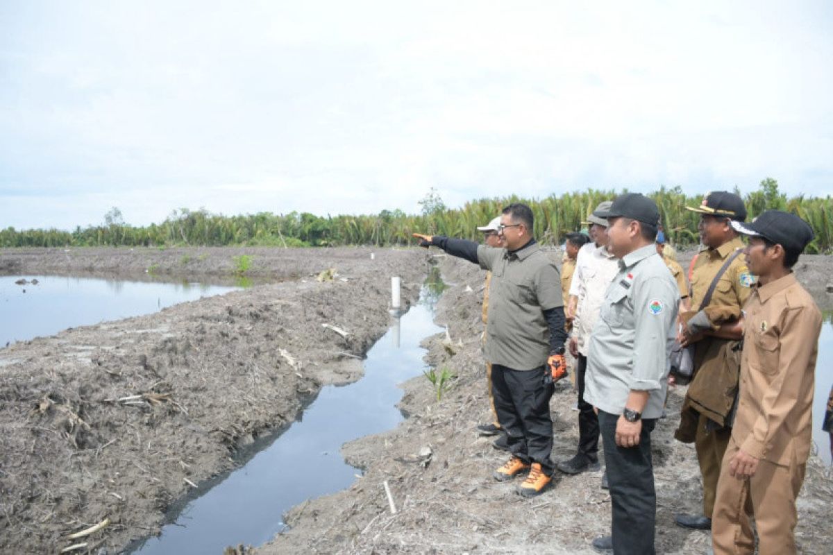 Sulbar persiapkan kawasan transmigrasi Tanjung Cina Pasangkayu sebagai KEK