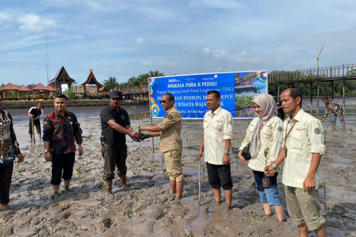 Angkasa Pura II Pekanbaru tanam ribuan bakau di Bengkalis